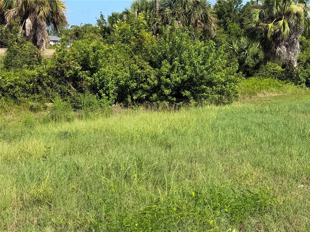 A grassy, undeveloped lot features dense green bushes and several tall palm trees — 198 FAIRWAY ROAD, ROTONDA WEST, FL