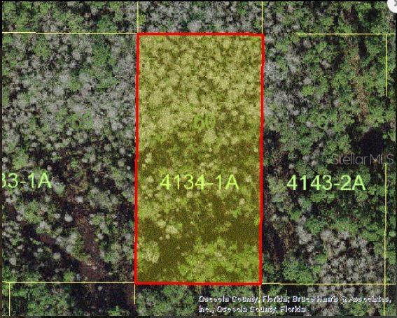 This is an aerial map view of a rectangular plot of land outlined in red — HOLOPAW GROVES ROAD, ST CLOUD, FL