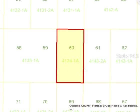 This is a property map showing lot 60 highlighted in yellow within a grid of lots — HOLOPAW GROVES ROAD, ST CLOUD, FL