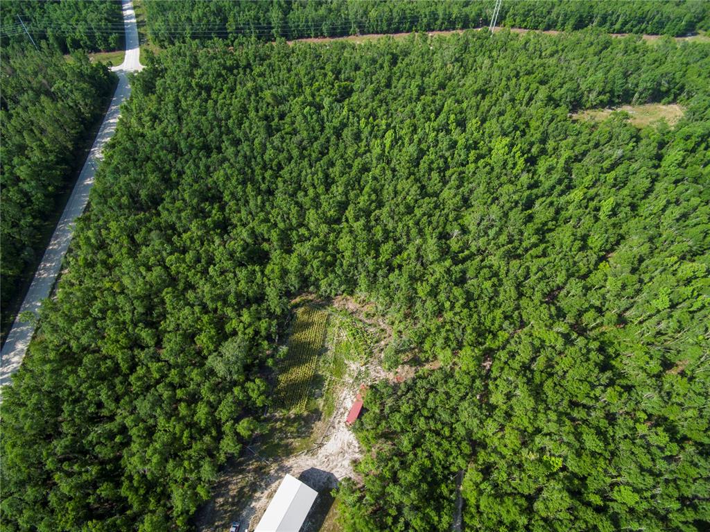 An aerial view shows a large, wooded lot with a small garden and two structures — 18233 185TH RD, LIVE OAK, FL