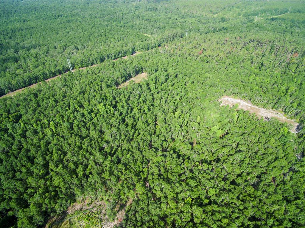 An aerial view shows a dense forest with a power line path and cleared land — 18233 185TH RD, LIVE OAK, FL