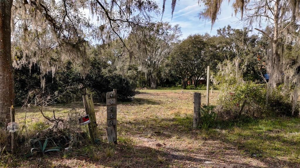 A vacant, wooded lot features a wooden post displaying the address numbers 4055 — 40550 SUTORUS ROAD, ZEPHYRHILLS, FL