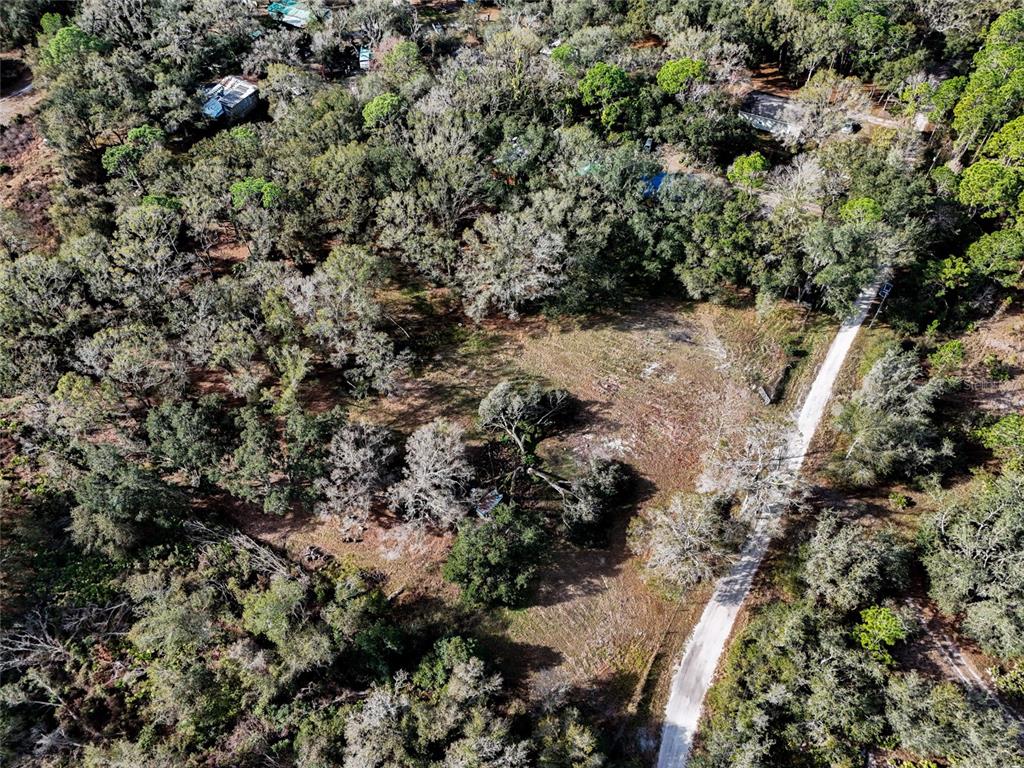 An aerial view shows a dirt road running through a wooded lot with scattered trees — 40550 SUTORUS ROAD, ZEPHYRHILLS, FL