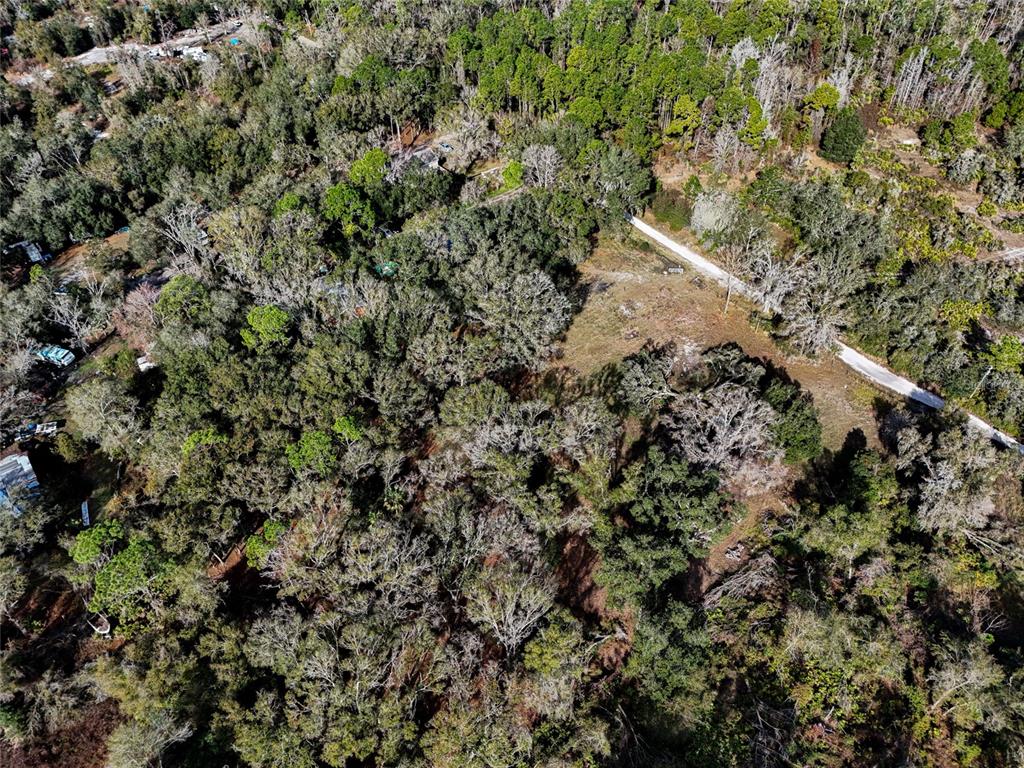 An aerial view shows a wooded lot with a dirt road running through the property — 40550 SUTORUS ROAD, ZEPHYRHILLS, FL