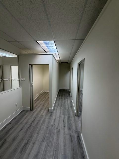 A hallway with gray wood-look flooring leads to several office doorways under a drop ceiling — 7910 NW 25th St # 207, Doral FL 33122, DORAL, FL