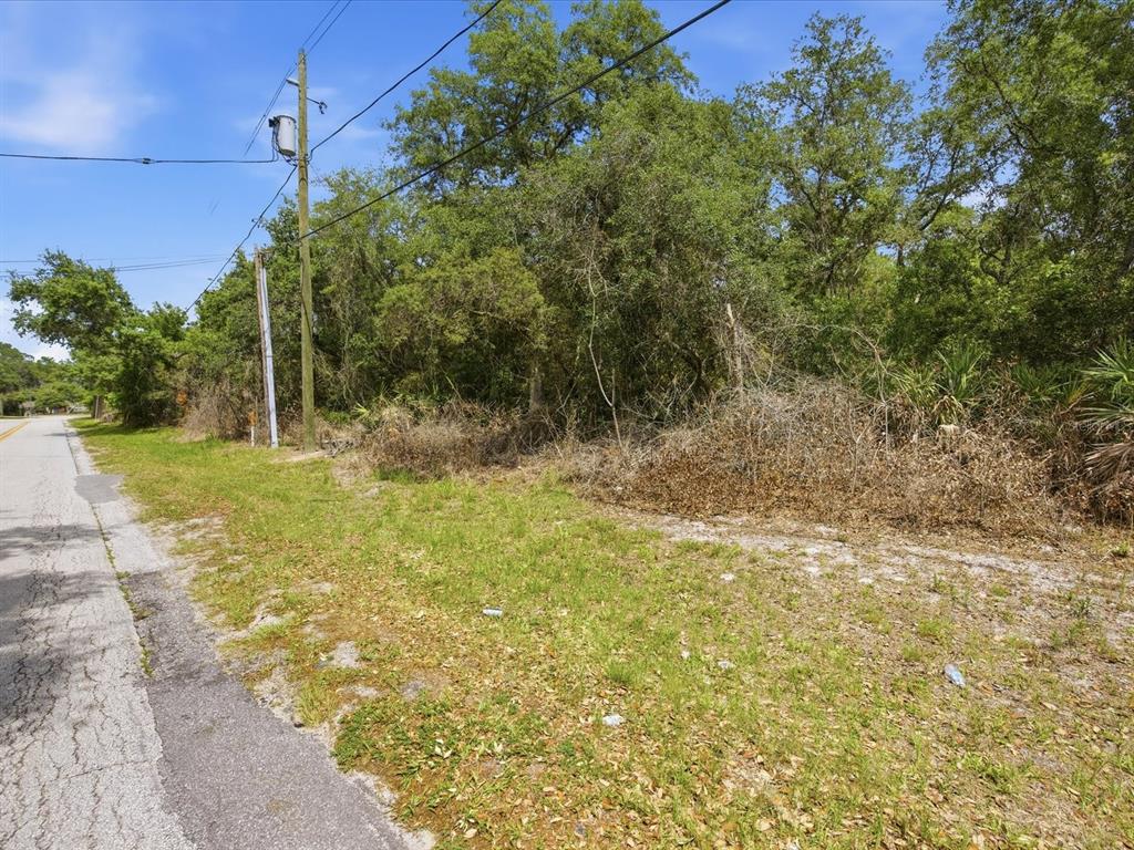 A paved road runs alongside a grassy, wooded lot with a utility pole — W LAKE DRIVE, DELAND, FL