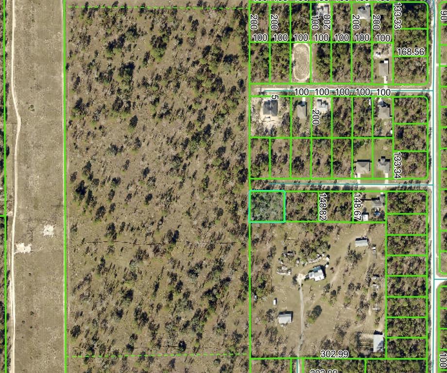 An aerial map view shows a residential subdivision with outlined property lots and surrounding land — 14056 RACE AVENUE, WEEKI WACHEE, FL