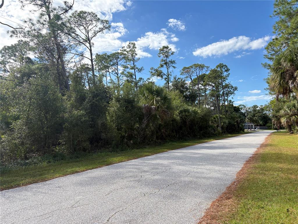 A paved road runs alongside a wooded lot under a blue sky with scattered clouds — COBBLER LANE, NORTH PORT, FL