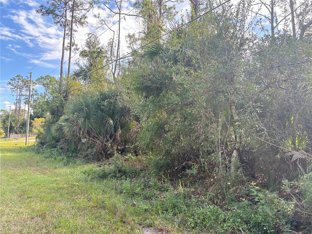 A grassy area borders a dense thicket of trees and palmettos under a blue sky — COBBLER LANE, NORTH PORT, FL