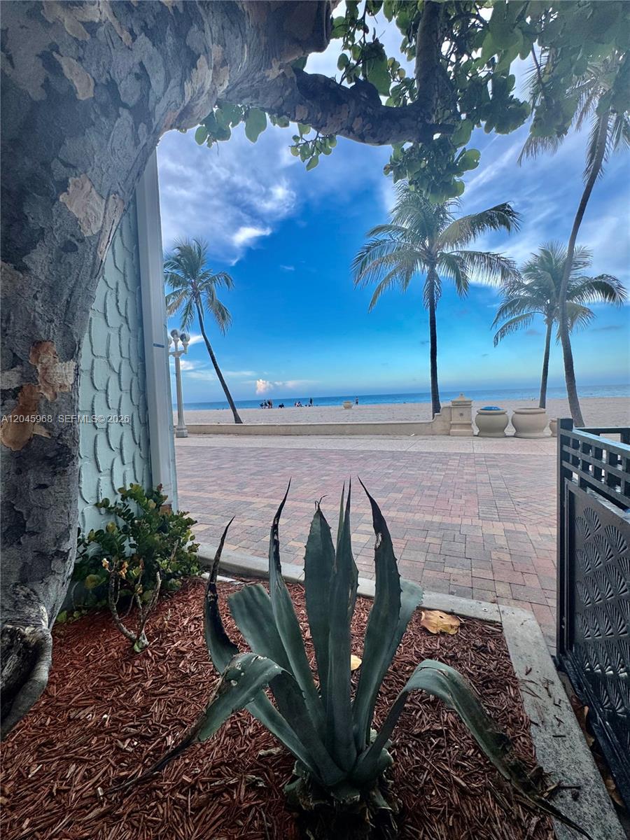 A view of a beach and ocean framed by a tree, a plant, and a walkway — 400 N Surf Rd, Hollywood FL 33019, HOLLYWOOD, FL