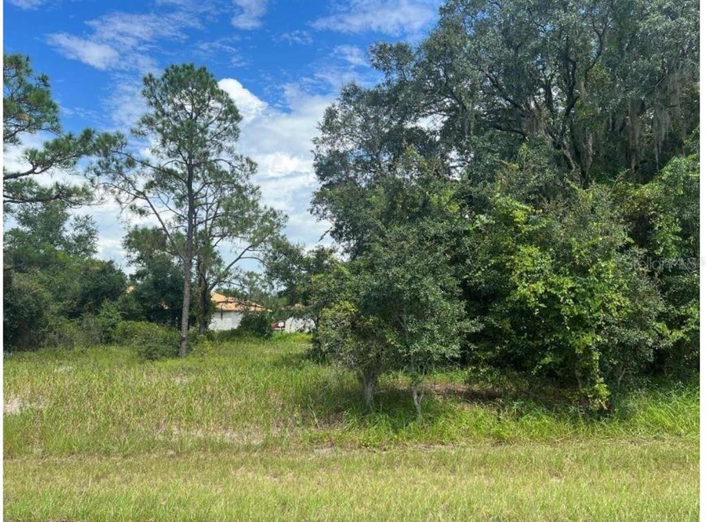A grassy, undeveloped lot features scattered trees and shrubs with a house visible in distance — 1336 HILLSBOROUGH COURT, POINCIANA, FL
