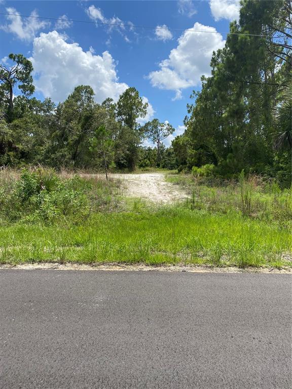 A paved road leads to a vacant, wooded lot with a sandy clearing under a sky — HAMPSHIRE CIRCLE, NORTH PORT, FL