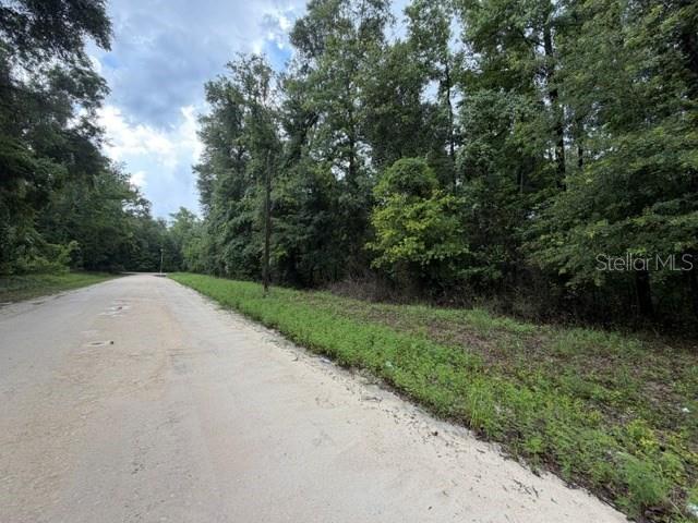 A dirt road runs alongside a wooded lot with dense green trees and vegetation — NE 312TH AVENUE, OLD TOWN, FL