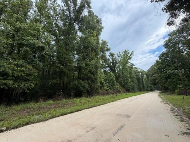 A dirt road runs alongside a dense, wooded area under a cloudy sky — NE 312TH AVENUE, OLD TOWN, FL