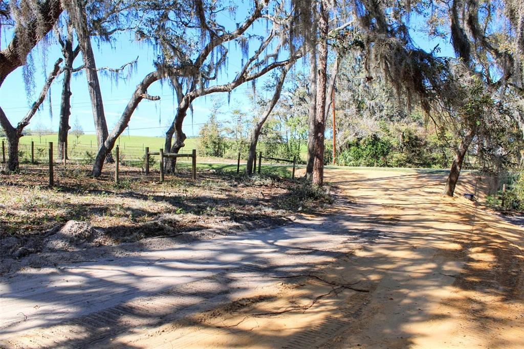 0 ST JOE ROAD, DADE CITY, FL — photo 4 of 14