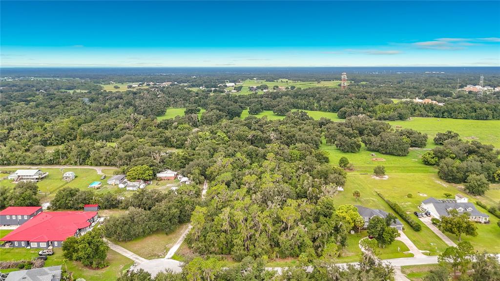 This is an aerial map view of a wooded residential lot bordering a cul-de-sac — 10623 LITHIA ESTATES DRIVE, LITHIA, FL