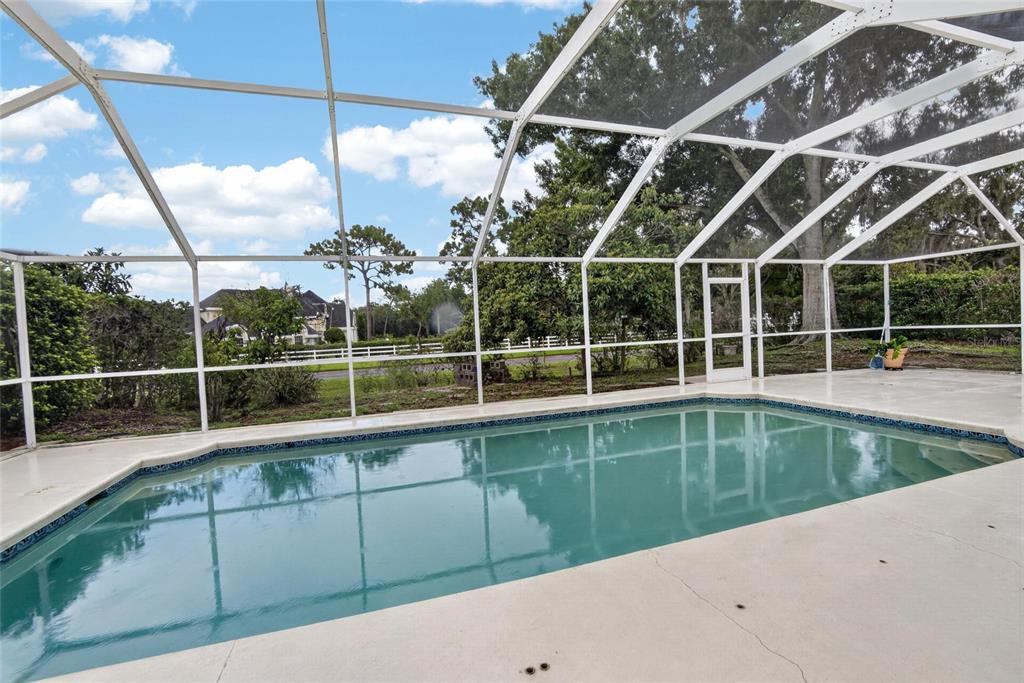 A swimming pool enclosed by a white metal screen structure overlooks a grassy yard — 3212 CONCORD WAY, PLANT CITY, FL