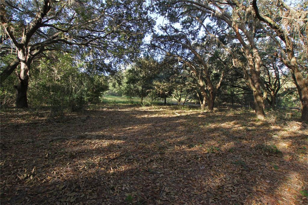 0 PATRICIA DRIVE, BARTOW, FL — photo 2 of 30