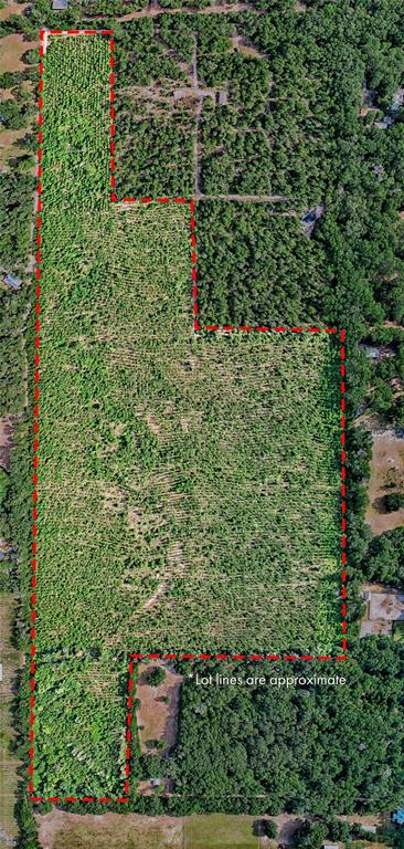 An aerial view shows a large, irregularly shaped plot of land outlined in red — 0 SW 120 AVENUE, ARCHER, FL