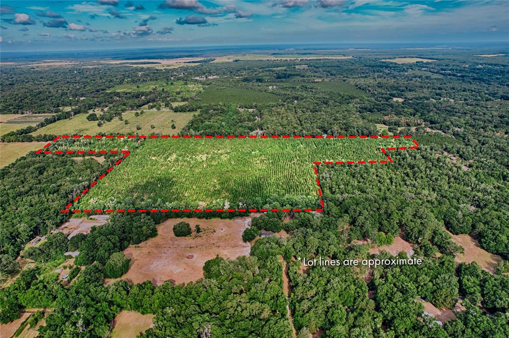 An aerial view shows a large, rectangular plot of land outlined in red — 0 SW 120 AVENUE, ARCHER, FL