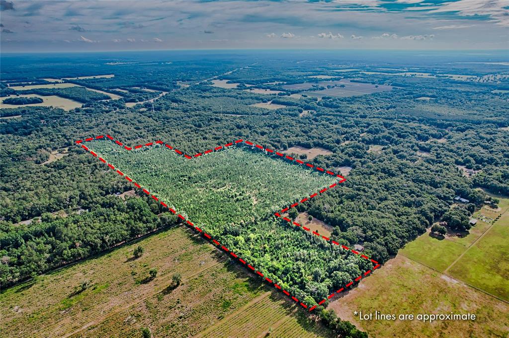 An aerial view shows a large, wooded plot of land outlined in red — 0 SW 120 AVENUE, ARCHER, FL