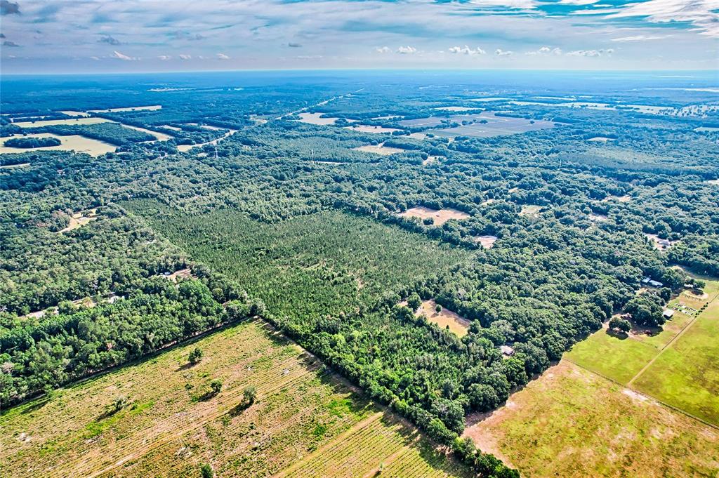 An aerial view shows a large expanse of forest bordered by open fields and pastures — 0 SW 120 AVENUE, ARCHER, FL