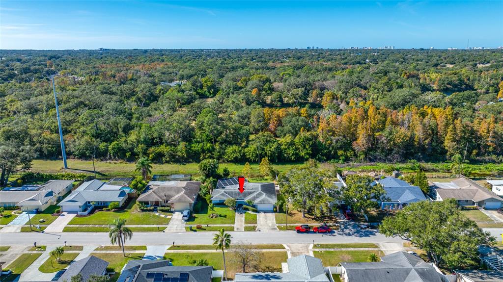 1862 DEL ROBLES DRIVE, CLEARWATER, FL — photo 3 of 30