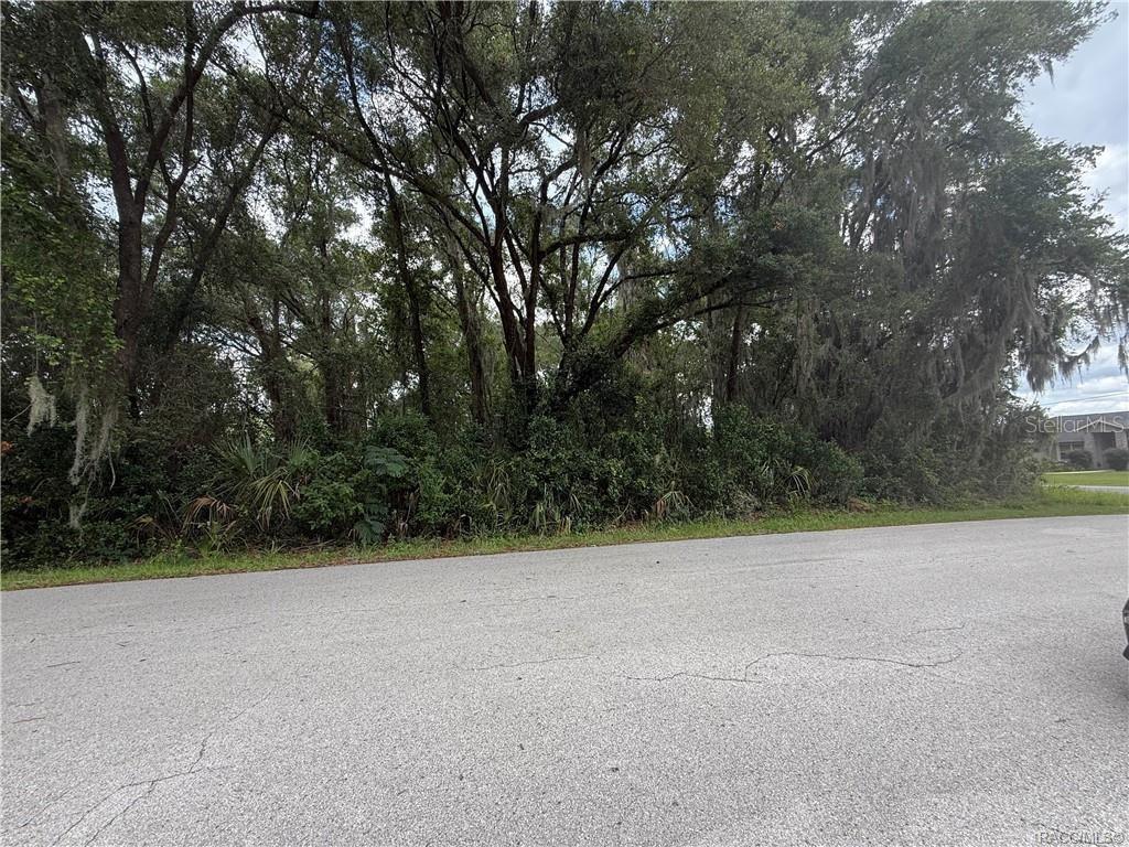 A paved road runs in front of a densely wooded lot with mature trees — 4133 E WILMA STREET, INVERNESS, FL
