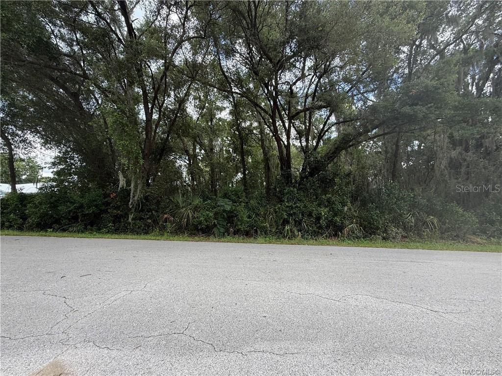 A paved road runs in front of a densely wooded, undeveloped lot — 4133 E WILMA STREET, INVERNESS, FL