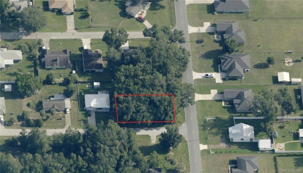 An aerial view shows a rectangular, tree-covered vacant lot outlined in red between residential houses — 4133 E WILMA STREET, INVERNESS, FL