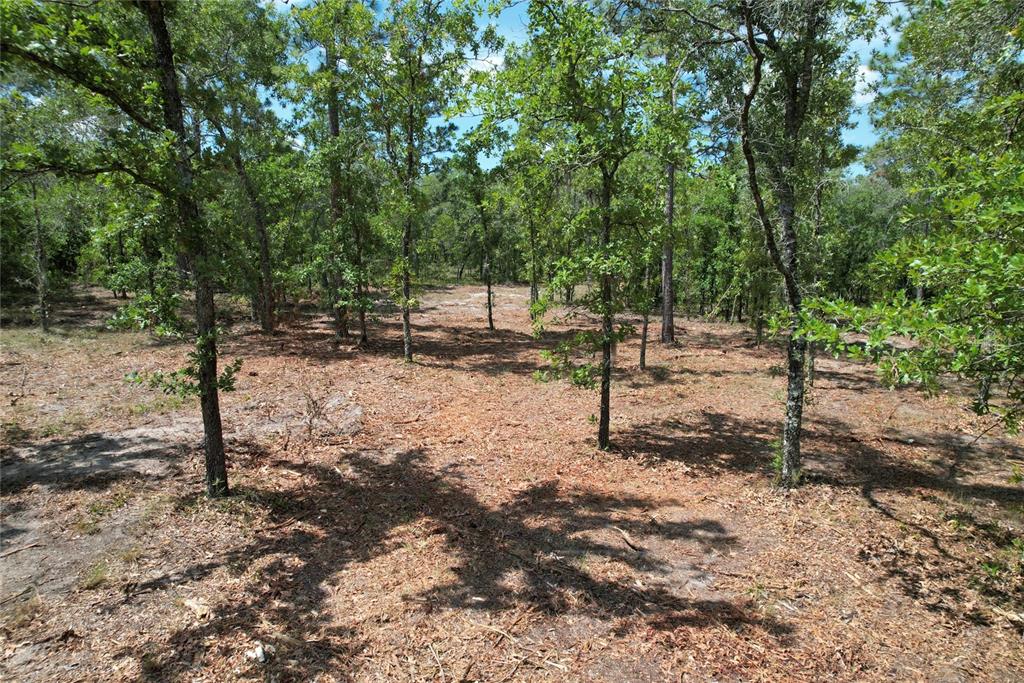 An aerial view shows a triangular, wooded plot of land bordered by two dirt roads — SE 53RD LANE, MORRISTON, FL