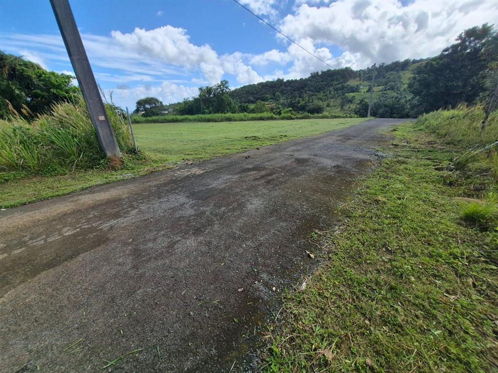 A paved road leads toward a large, grassy field surrounded by trees and hills — PR 956 KM 8.8 E SECTOR LOS MEDINAS BO GUZMAN ARRIBA, RIO GRANDE, PR
