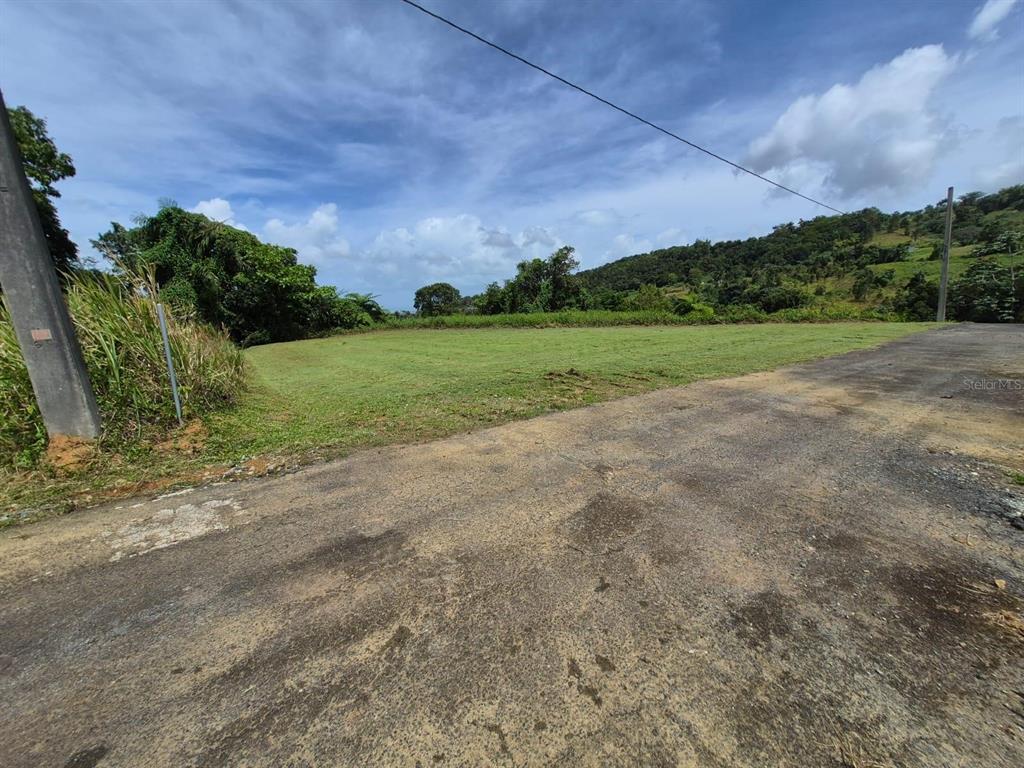 A grassy, vacant lot sits adjacent to a paved road under a cloudy blue sky — PR 956 KM 8.8 E SECTOR LOS MEDINAS BO GUZMAN ARRIBA, RIO GRANDE, PR