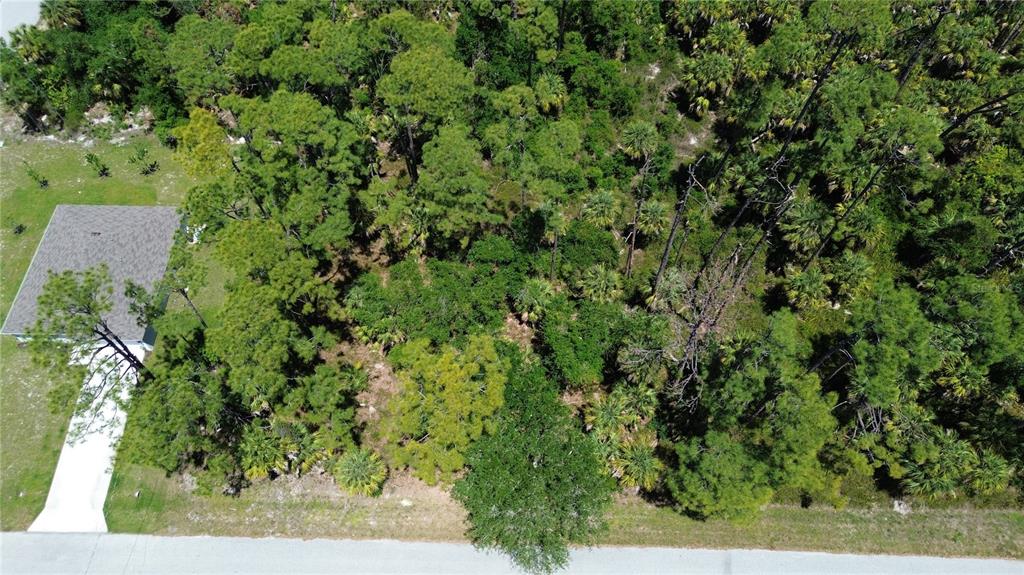 An aerial view shows a wooded, undeveloped lot next to a house with a driveway — 18126 DILLON AVENUE, PORT CHARLOTTE, FL
