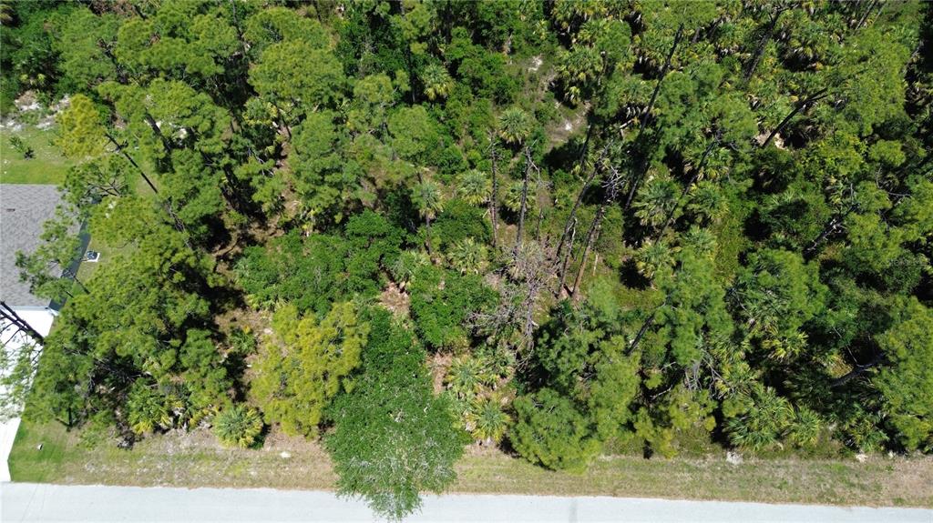 An aerial view of a wooded, undeveloped residential lot next to a paved road — 18126 DILLON AVENUE, PORT CHARLOTTE, FL