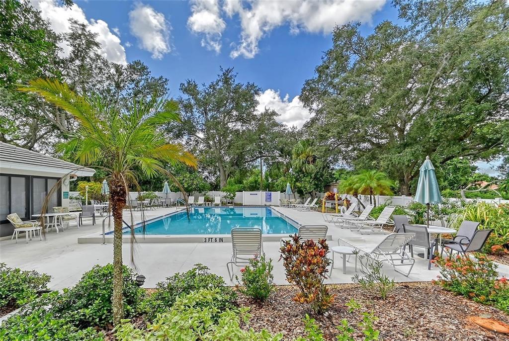 An outdoor swimming pool surrounded by lounge chairs, patio tables, and lush trees — 339 PEMBROKE LANE S UNIT 228, VENICE, FL