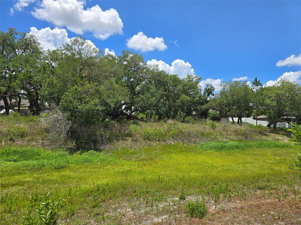 A grassy, sloping lot features a line of mature trees under a blue sky — 5066 WESTLAKE BOULEVARD, DADE CITY, FL