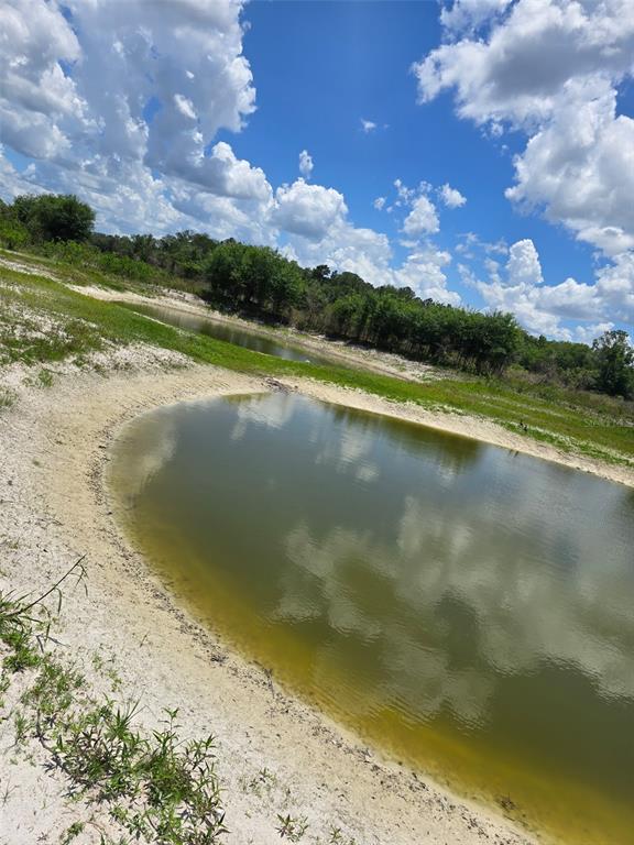 A small, shallow pond sits in a grassy field under a bright, cloudy sky — 5066 WESTLAKE BOULEVARD, DADE CITY, FL