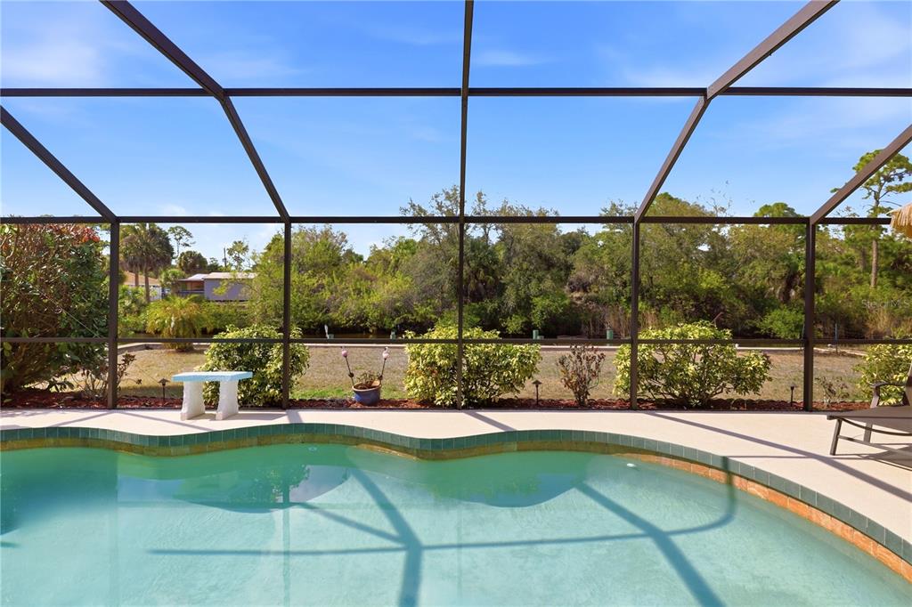 A swimming pool sits inside a screened-in lanai overlooking a grassy yard and dense trees — 361 CHESHIRE STREET, PORT CHARLOTTE, FL