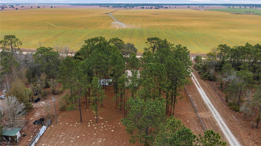 An aerial view shows a house nestled among pine trees next to a large field — 2090 SE 133RD COURT, MORRISTON, FL