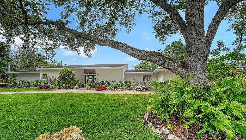 A low-slung, light-colored house is framed by a large, sprawling oak tree in the foreground — 1428 PINE BAY DRIVE, SARASOTA, FL