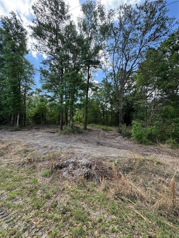 A cleared, sandy lot features scattered trees and brush under a partly cloudy sky — NW 4TH STREET, OCALA, FL