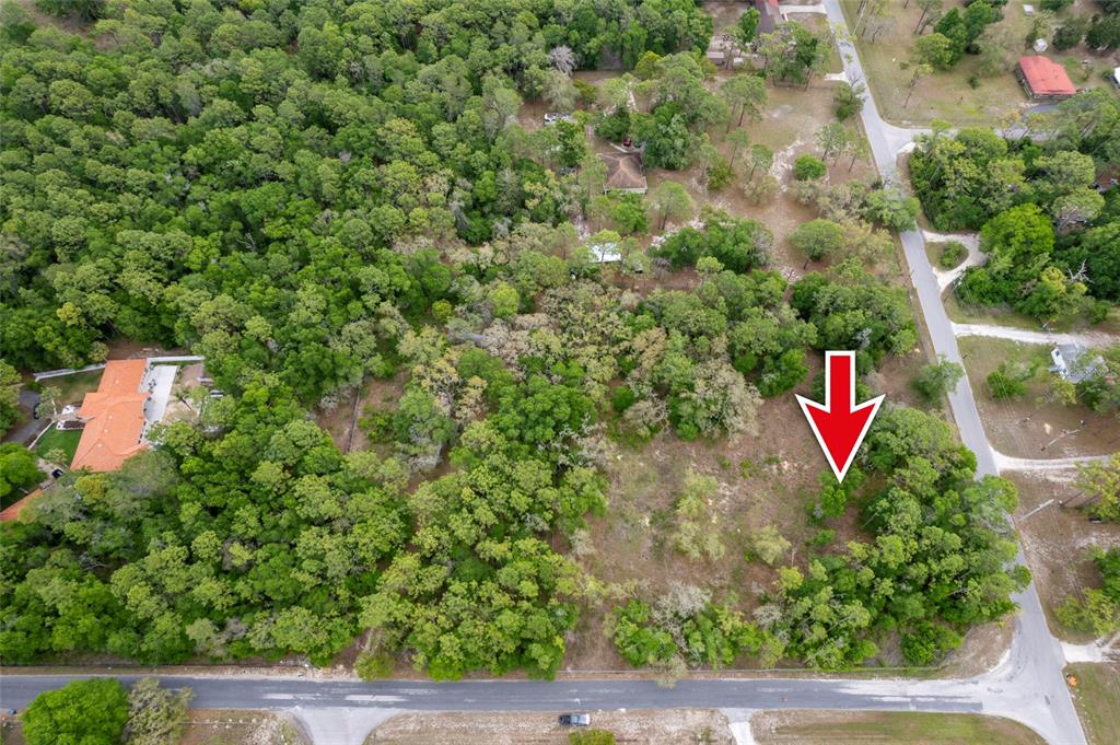 An aerial view shows a wooded, undeveloped lot bordered by roads and nearby houses — 16021 FORZANDO AVENUE, BROOKSVILLE, FL