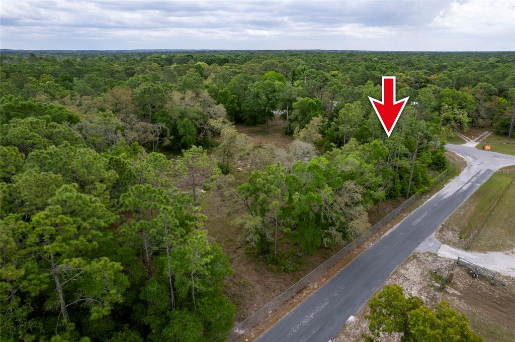 An aerial view shows a wooded, undeveloped lot bordered by a paved road — 16021 FORZANDO AVENUE, BROOKSVILLE, FL