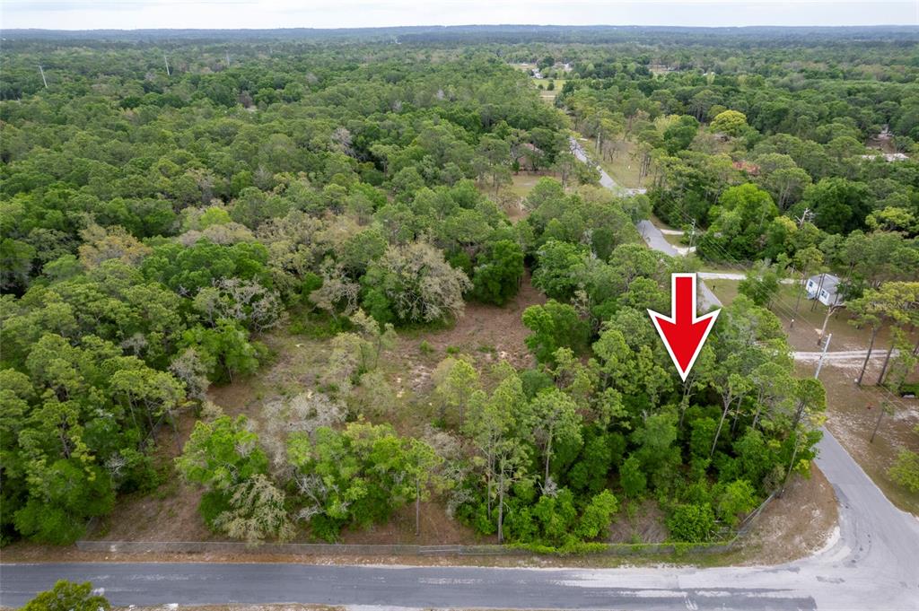 An aerial view shows a wooded, undeveloped lot with a red arrow pointing toward trees — 16021 FORZANDO AVENUE, BROOKSVILLE, FL
