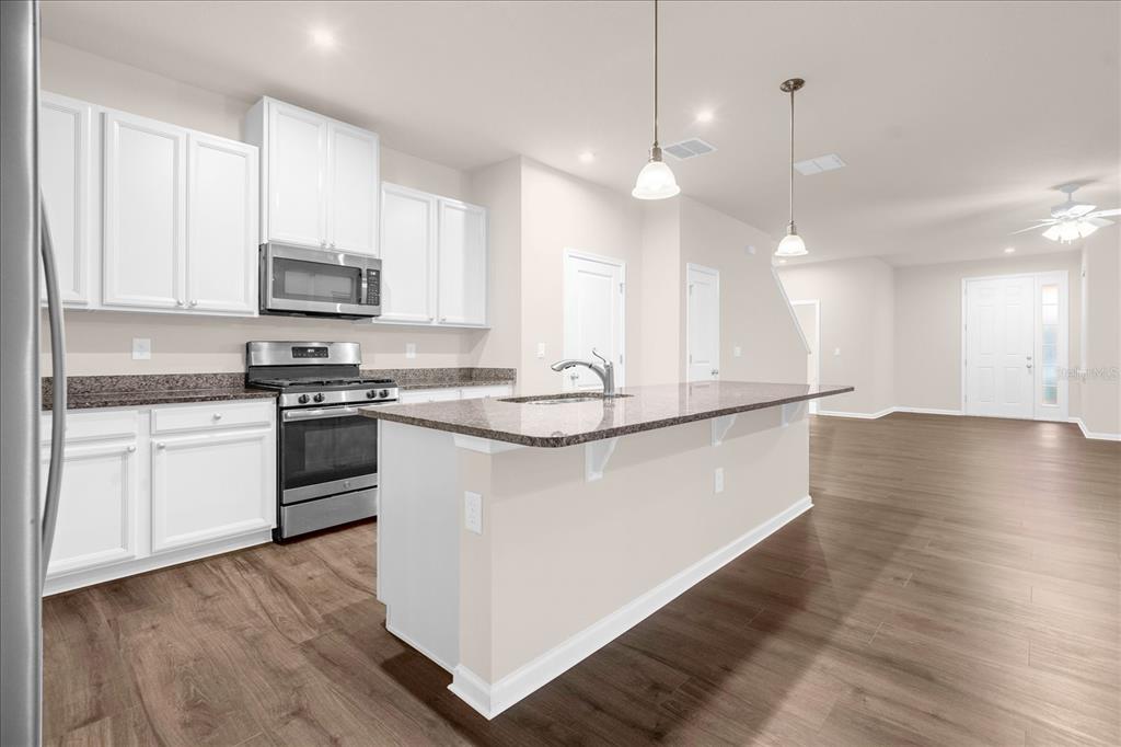 A kitchen with white cabinets, granite countertops, stainless steel appliances, and wood-look flooring — 6162 GLORY BOWER DRIVE, WINTER GARDEN, FL