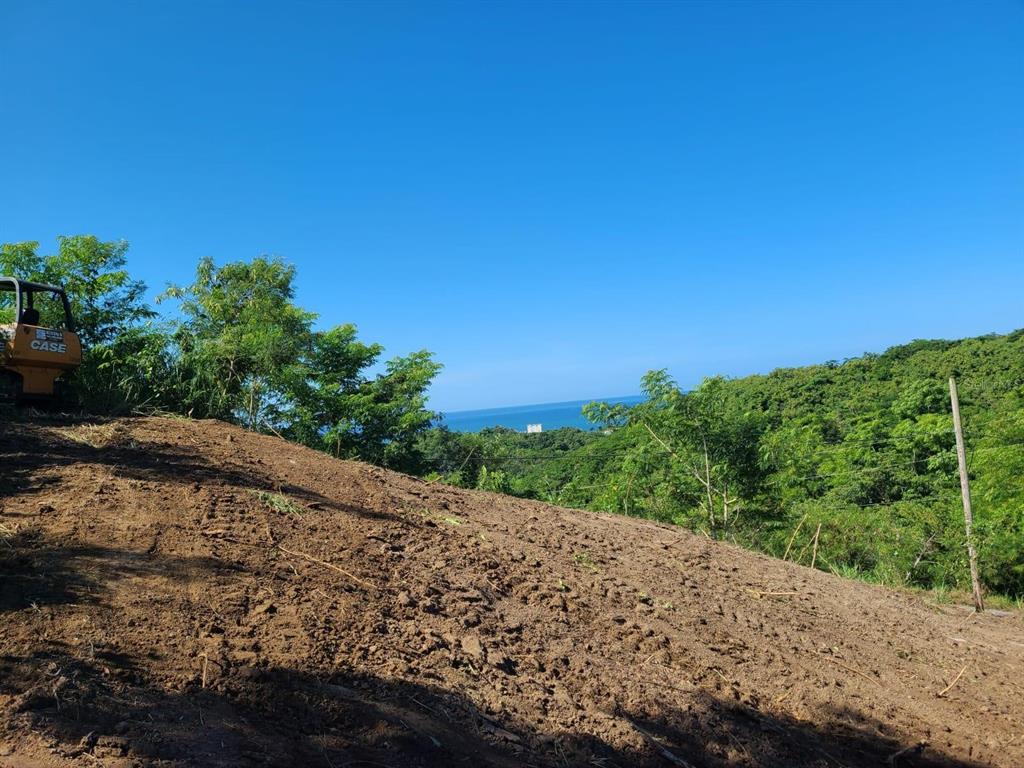 Km 5.9 CARR 413, RINCON, PR — photo 2 of 4