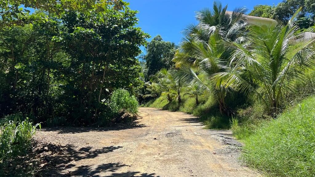 Km 5.9 CARR 413, RINCON, PR — photo 3 of 4