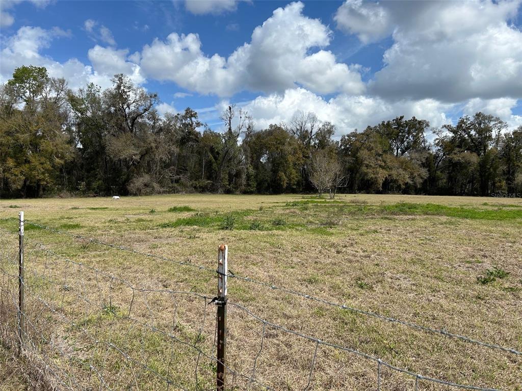 A wire fence borders a grassy, open field with a dense treeline in the background — 13925 NW US-441, ALACHUA, FL