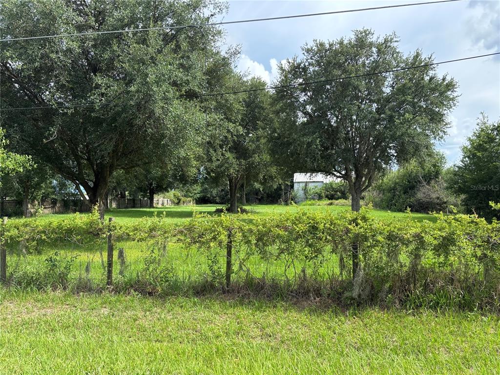 A grassy, tree-filled lot is enclosed by a wire fence with overgrown vines — 4670 ANDERSON ROAD, KISSIMMEE, FL